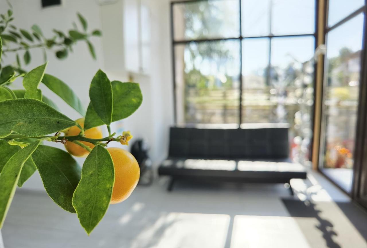 Pensiunea Prestige House Curtea de Argeş Exteriér fotografie